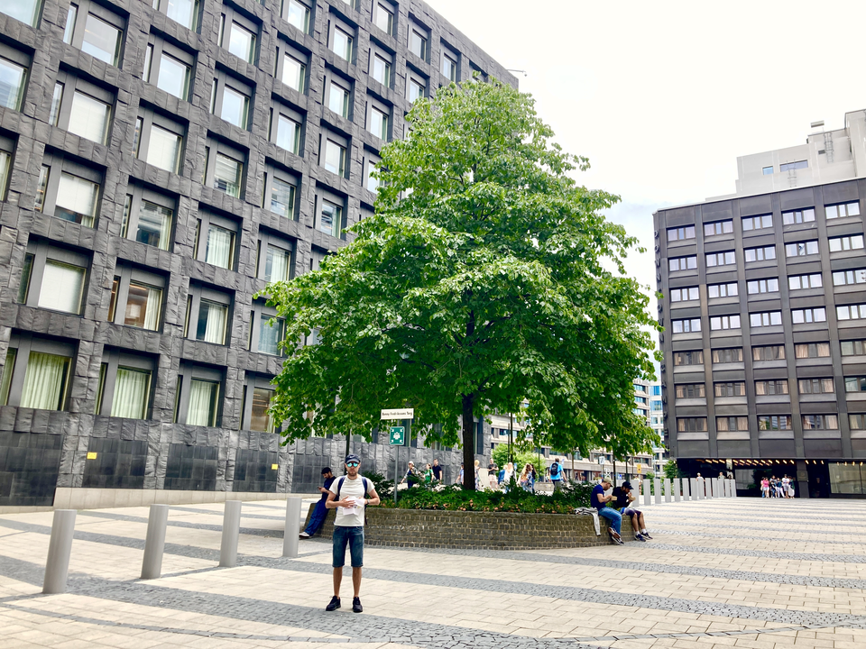 A guide stands in front of a tree in Stockholm.